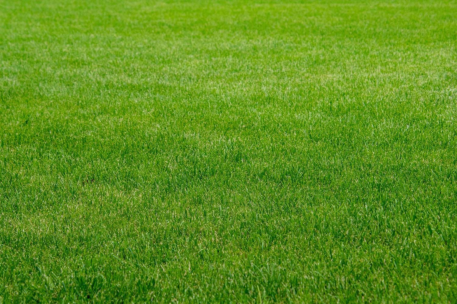 Artificial turf installed over SureSoak drainage