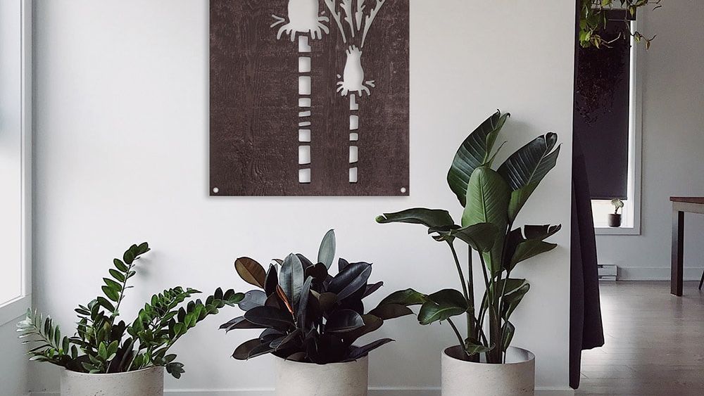 Nikau decorative screen inside a home