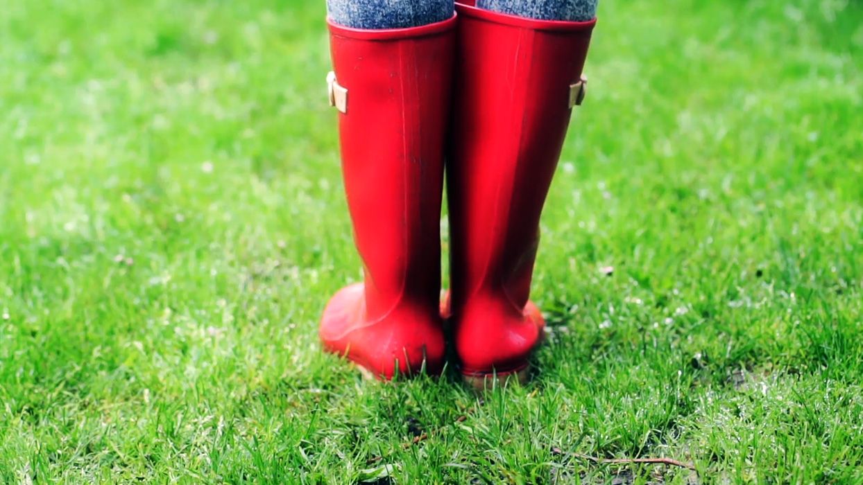Gumboots on a muddy lawn