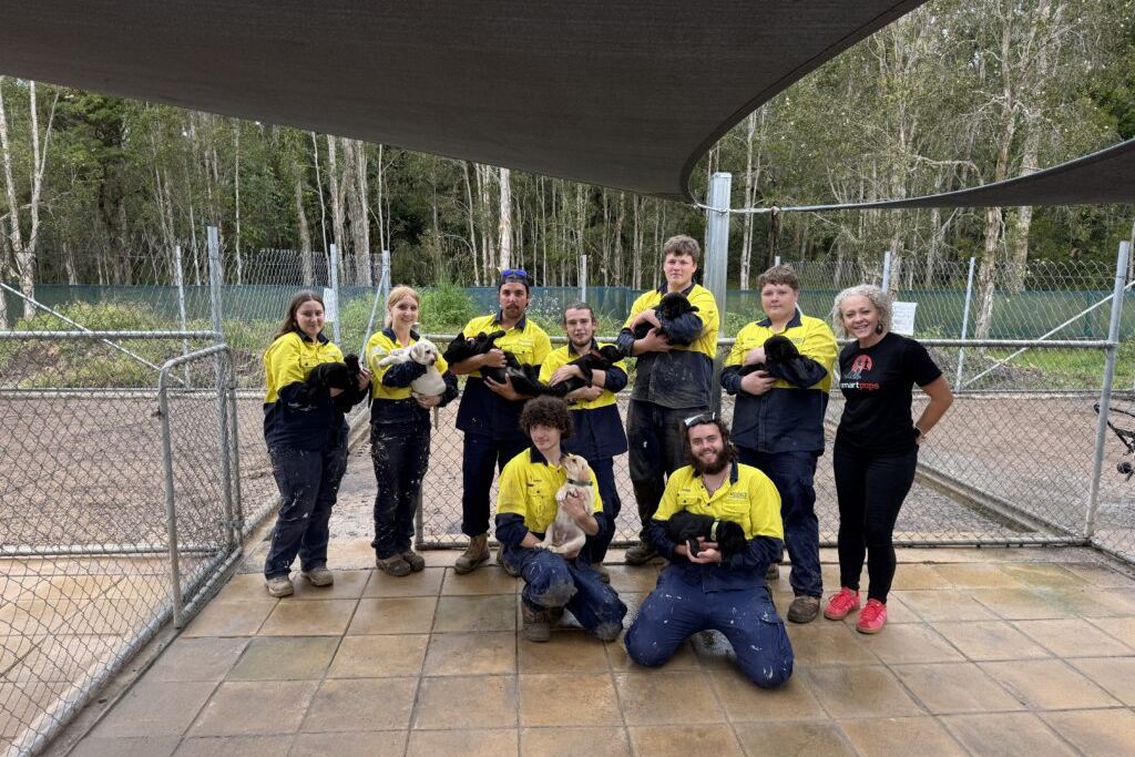 Volunteers in hi-vis gear holding puppies in a paved dog pen