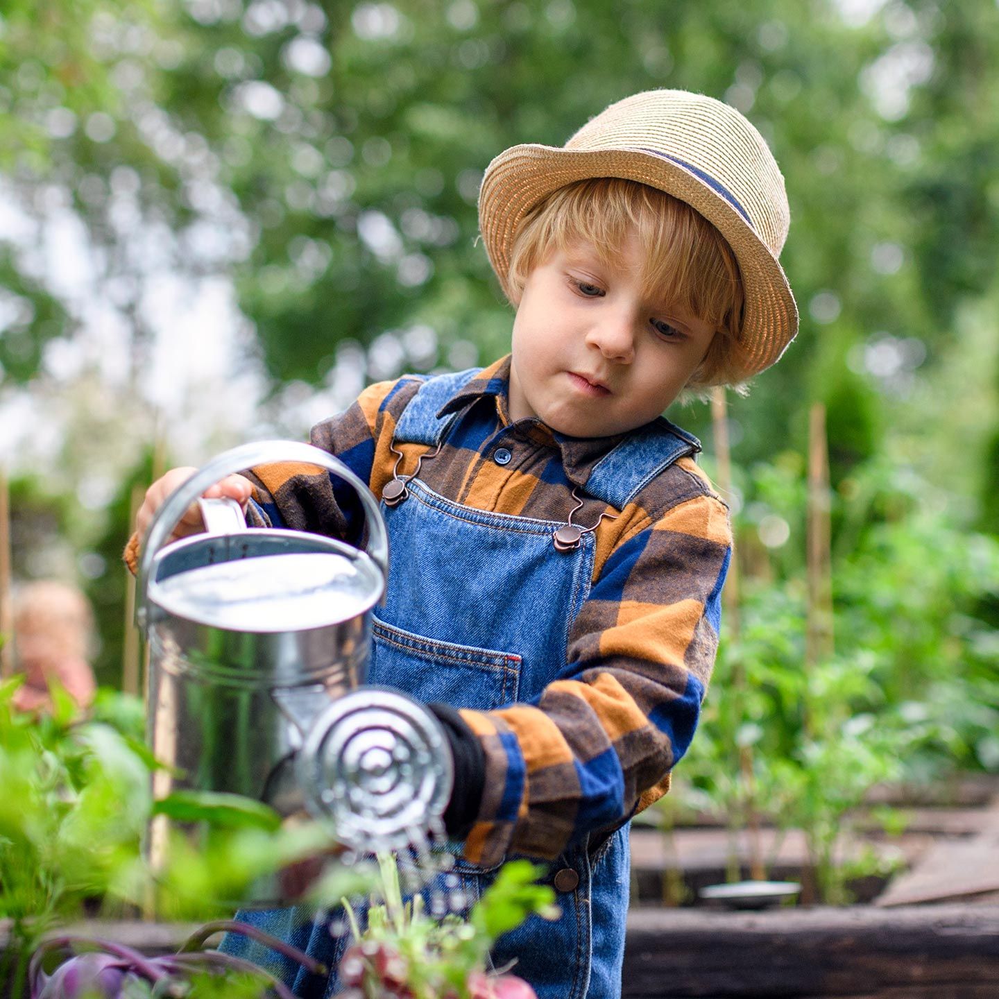Child watering vegetables in a raised garden bed