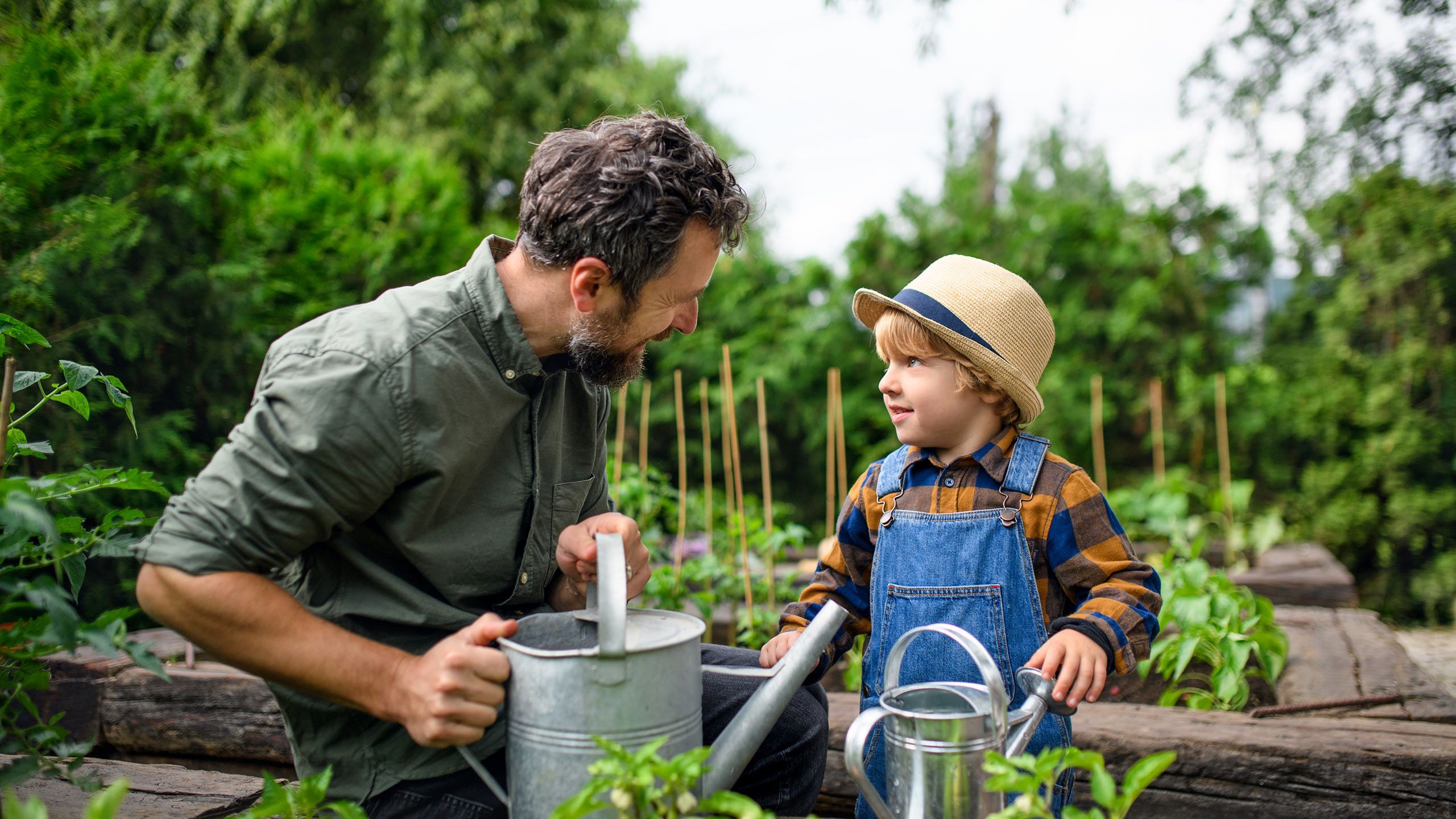 Father and son watering plants in a vegetable garden