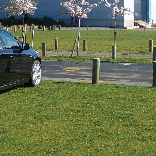 Cars parked on grass reinforced with SurePave