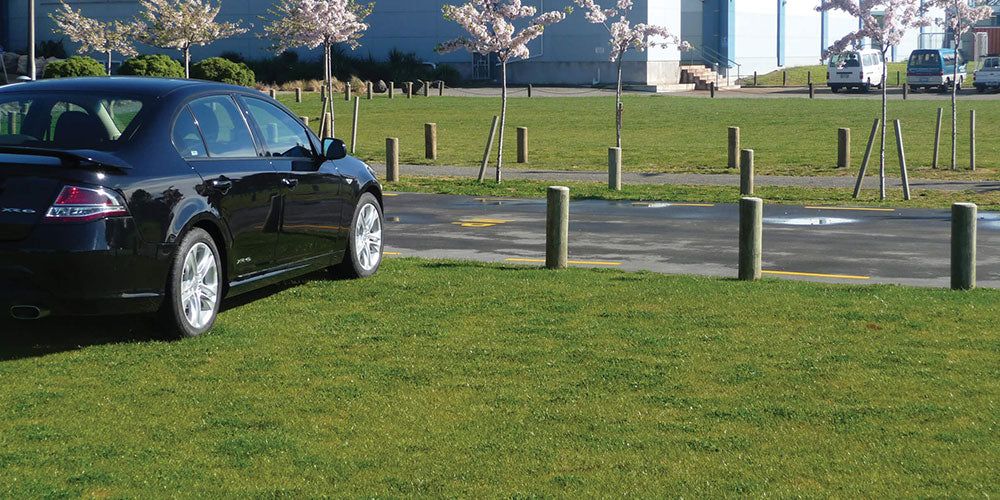 Cars parked on grass reinforced with SurePave