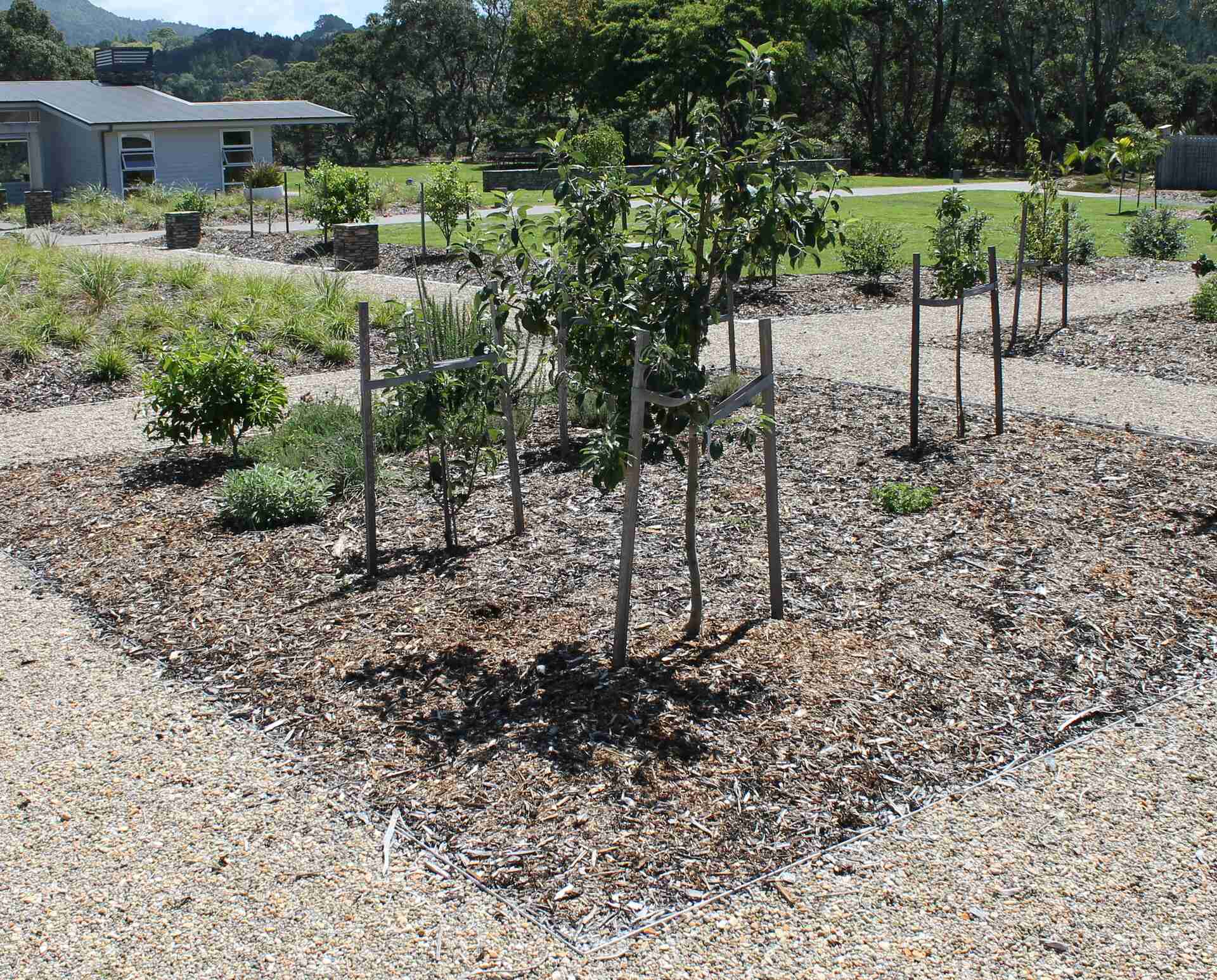pebblelock paving around trees