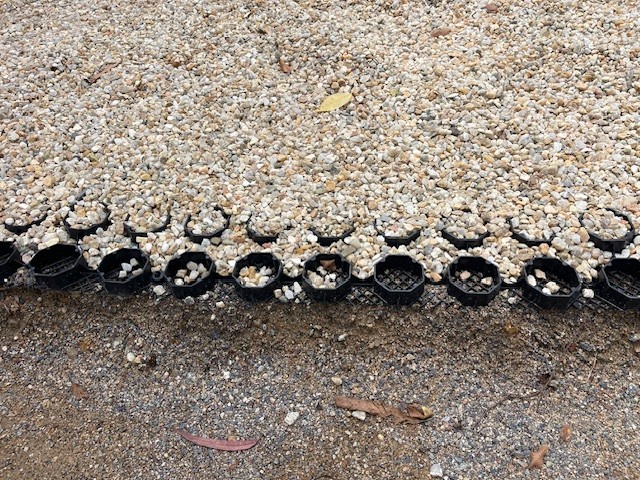 PebbleLock - Backyard paving solution