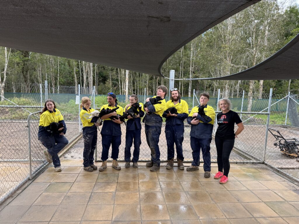 Supporting Future Assistance Dogs with SurePave